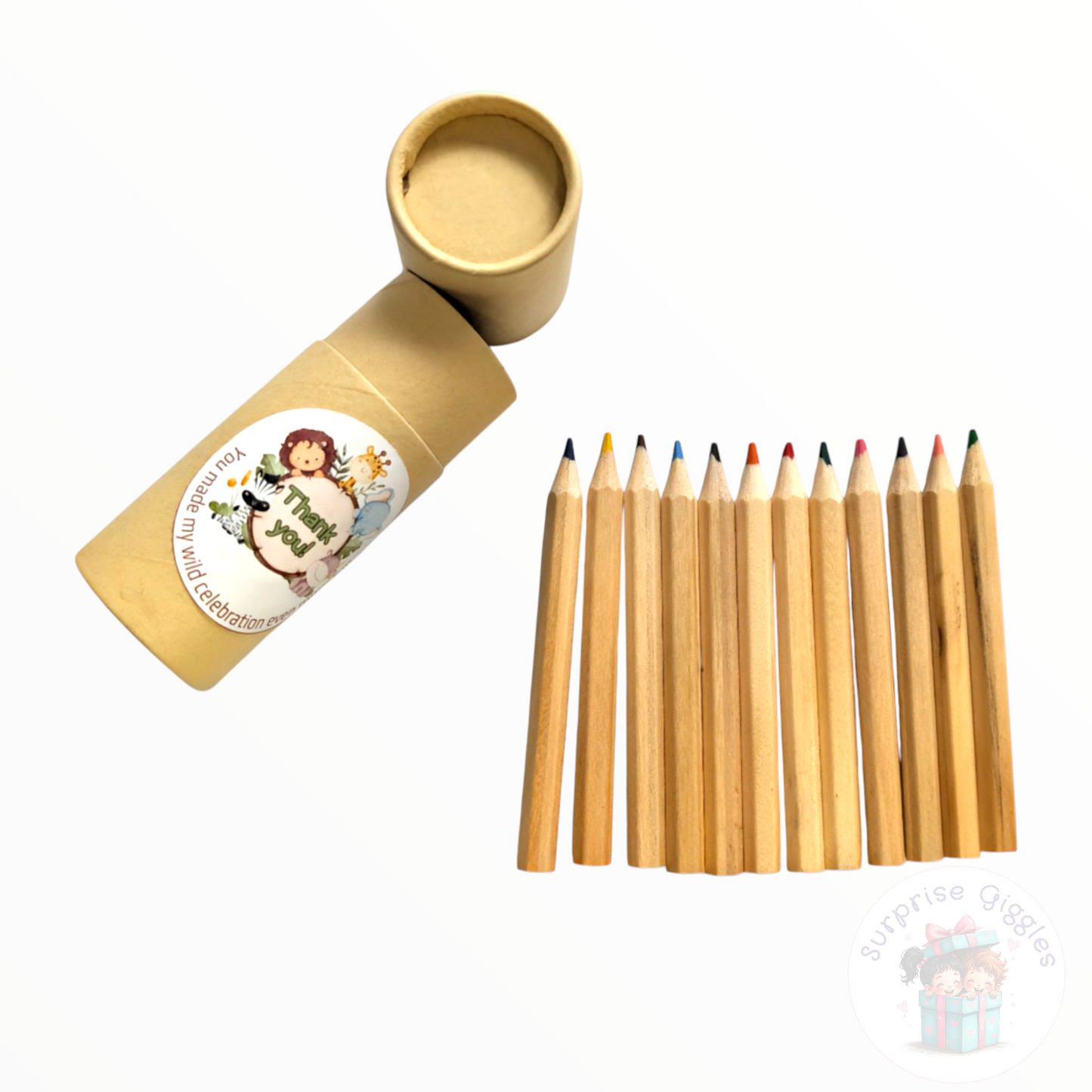 Colour Pencils in a Tube